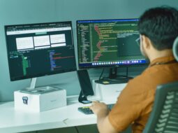 Software Market